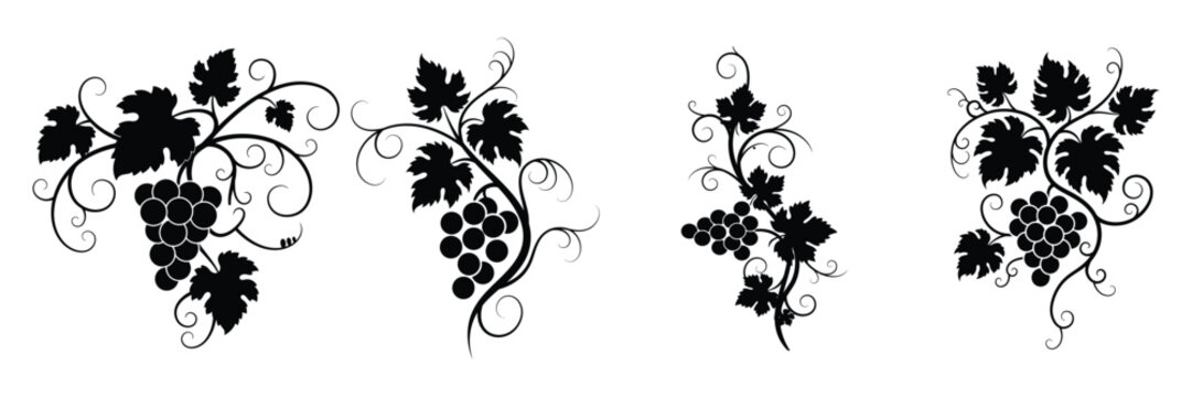 Black Grapevine Ornament Set with Leaves and Clusters