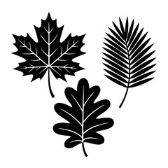 Leaf Silhouettes Set – Maple, Palm, and Oak Vector Icons