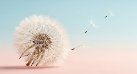 A dandelion seed head with three flying seeds against a pastel background.