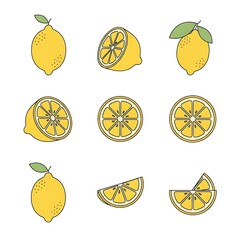Collection of Fresh Lemon Illustrations for Summer Designs and Healthy Eating Concepts.
