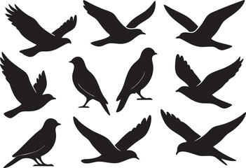 Black bird silhouettes in different flight poses and positions