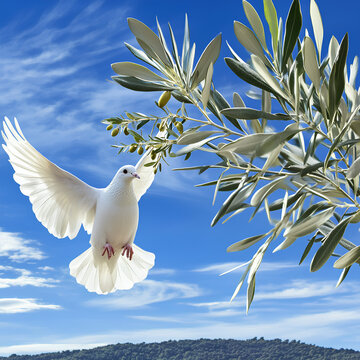 A pure white dove in mid-flight with wings fully spread, holding an olive branch in its beak, against a bright blue sky with soft clouds sharp details and no motion blur.