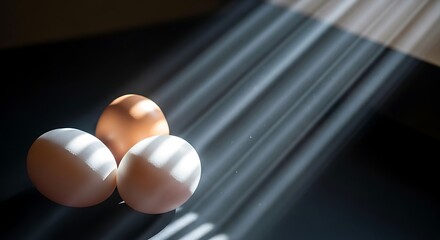 Eggs in Sunlight - A Study of Light and Shadow.