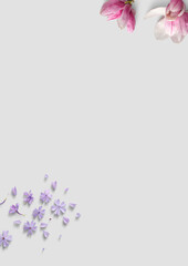 Light Gray Background with Magnolia and Purple Flowers