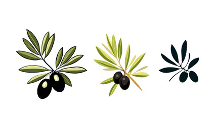 olive branch vector illustration
