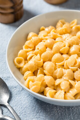Homemade Healthy Macaroni and Cheese Shells