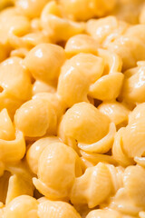 Homemade Healthy Macaroni and Cheese Shells