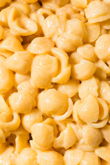 Homemade Healthy Macaroni and Cheese Shells
