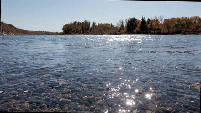 River flowing calmly with trees in background on a clear sunny day