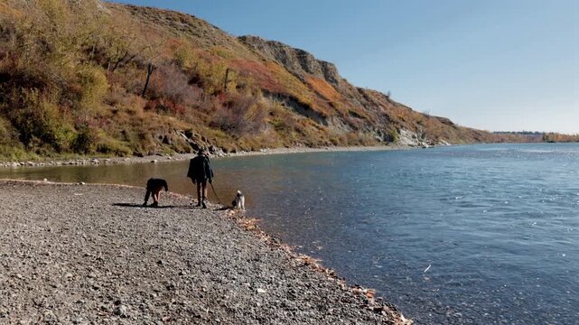 Children walking by a river in Autumn with their dog on a sunny day