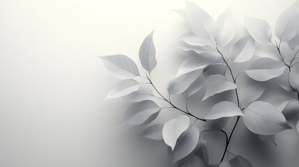 Elegant floral invitation card with flowers on a clean white background.
Perfect for weddings, bridal showers, or special occasions.
Delicate design with soft pastel tones and botanical elements.