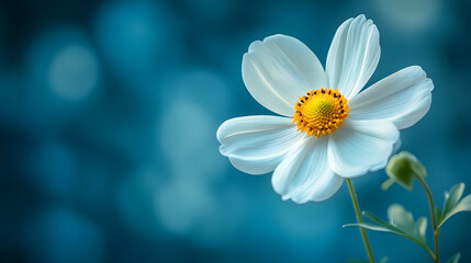 Elegant floral invitation card with flowers on a clean white background.
Perfect for weddings, bridal showers, or special occasions.
Delicate design with soft pastel tones and botanical elements.