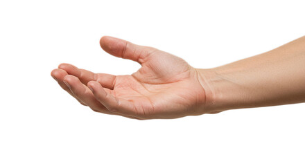 Palm redrawn in a gentle arc, curling inward, high-def skin detail in bright clarity. Isolated on transparent background, png