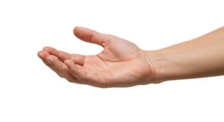 Palm redrawn in a gentle arc, curling inward, high-def skin detail in bright clarity. Isolated on transparent background, png