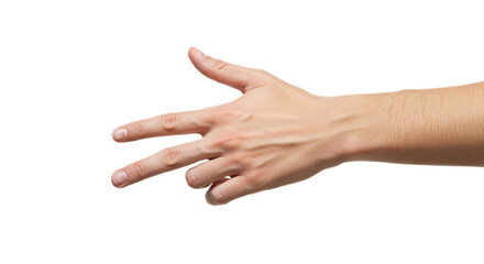 Interlaced fingers, centered clinical clarity and minimalist negative space. Isolated on transparent background, png