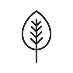 vector illustration of a leaf