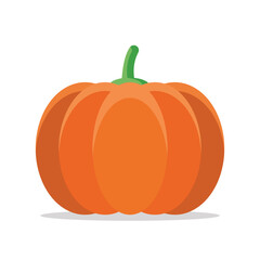 large single pumpkin. orange in color. icon of October