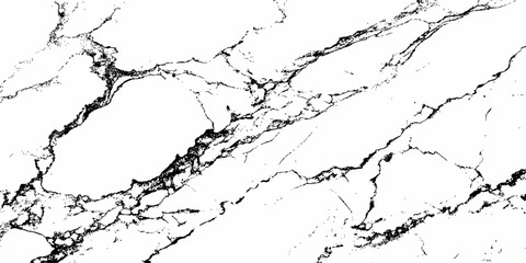 Elegant white marble texture with natural black veins, high-resolution background for interior design, luxury surfaces, countertops, and modern architecture. Clean, minimal, and realistic stone patter