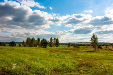 A flat landscape with a view of sparse trees surrounded by green fields.