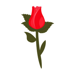 A red rosebud on a small, simple stem. Vector illustration on a white background.
