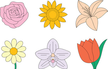 Assorted Flowers in Pastel Colors and Outline Styles on White Background Keywords: rose
