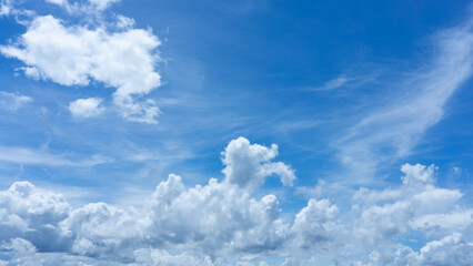 Fototapeta premium Sky Canvas: A vibrant blue sky canvas adorned with fluffy, billowing clouds, inviting viewers to embrace the tranquility and vastness of nature.