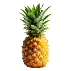 Fototapeta premium Fresh pineapple on a white background