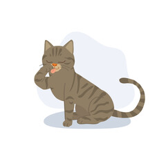 a cute brown tabby cat sits calmly licking its paw during grooming