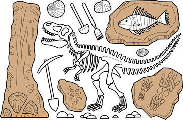 Dinosaur Skeleton And Fossil Collection With Paleontology Tools paleontologist excavation