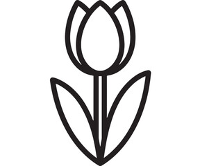 Simple line drawing of a single tulip flower with leaves