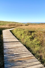 Obraz premium Golden Path out to the water