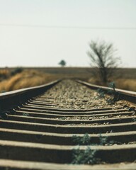 The railway line stretched straight towards the hazy horizon, with little vegetation around it.