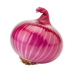Red Onion Whole Vegetable Fresh Produce Flavor Ingredient on Transparent Background