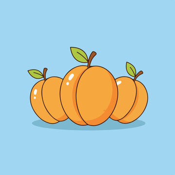 Vector Apricot Fruit on Soft Blue Background