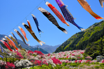 鯉のぼり舞う花桃の里　長野県
