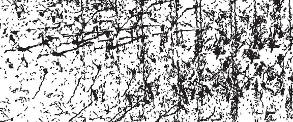 Slim lines texture. Parallel and intersecting lines abstract pattern. Abstract textured effect. Black isolated on white background.Vector illustration. EPS10.