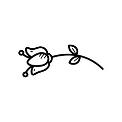 Minimalist Black and White Line Art Flower Stem with Leaves and Buds on a Transparent Background a Delicate Botanical Illustration