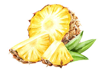 Ripe fresh pineapple fruit. Hand drawn watercolor illustration isolated on white background
