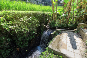 Small stream of water flows through a garden
