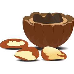 Illustration of a cracked Brazil nut revealing edible seeds with three whole nuts scattered around on a white background with subtle shadows