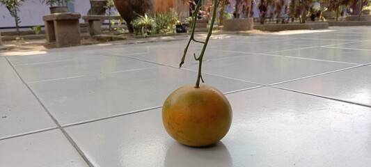 The image depicts a yellowish-orange orange with a few green spots. The fruit is placed on a smooth, clean gray floor. In the background, a garden area with green trees and a park bench appears, creat