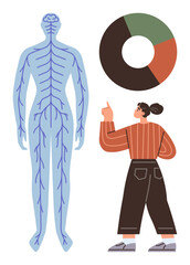 Nervous system diagram with highlighted blue nerves, a pie chart, and a woman pointing for educational purposes. Ideal for healthcare, education, science, anatomy, neurology, research awareness