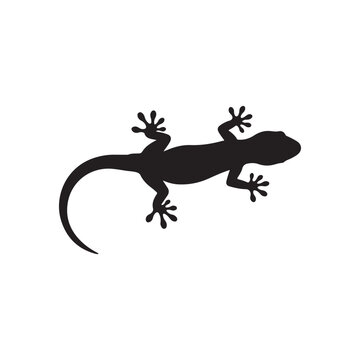House gecko silhouette vector flat illustration design on white background