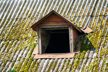 An old weathered asbestos roof heavily covered in vibrant green moss, featuring a rustic wooden dormer window