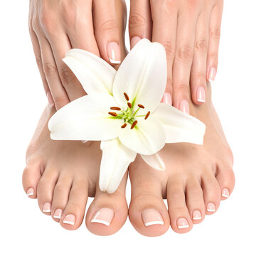 Woman's manicured hands and feet with lily