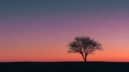 Minimalist silhouette of lone tree against glowing sunset sky dramatic horizon line abstract landscape design peaceful evening mood