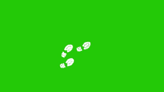 footprint in the grass