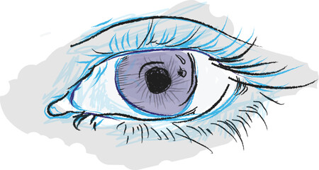 Vector art of closeup illustration of a human eye with purple iris and blue lashes
