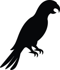 Fototapeta premium silhouette of a parrot