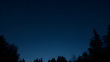 Enchanting nightscape showcasing stars above silhouette of trees at twilight